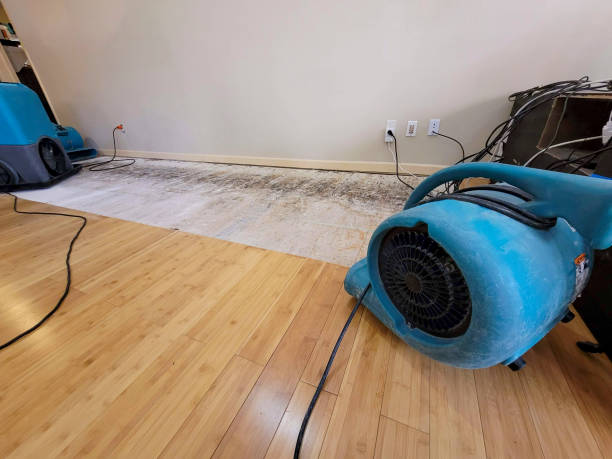 Professional Basement Flood Cleanup technician working in Dawn, TX